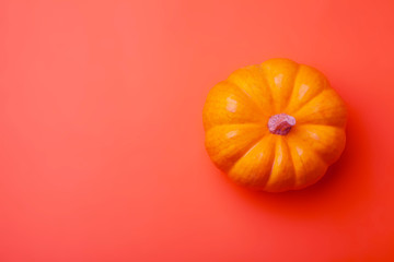 Pumpkin Orange Background Fruit Autumn