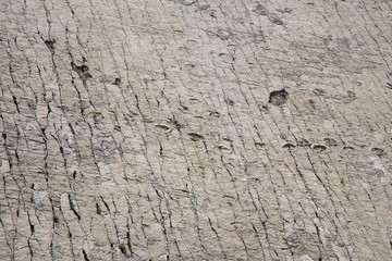 Cal Orcko paleontological site in Sucre. Steep wall with thousands o dinosaur foot prints.
