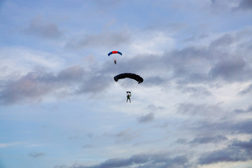 landing of two paratroopers on sports canopy, cloudy blue sky, extreme sports, AFF, wallpaper
