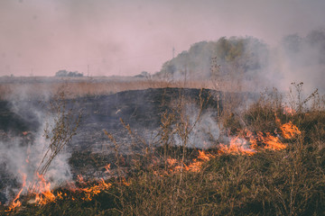 Dry grass on farm fields in flames. These man made fires are dangerous to the environment.