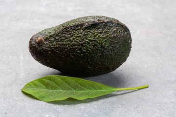 New harvest of fresh ripe hass avocado