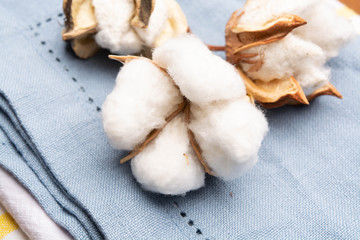 Fototapeta na wymiar Soft natural fiber kitchen and bed textile made from organic cotton bolls