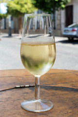 Sherry wine tasting, dry fino, manzanilla or palomino jerez fortified wine in glasses, Jerez de la Frontera, Andalusia, Spain