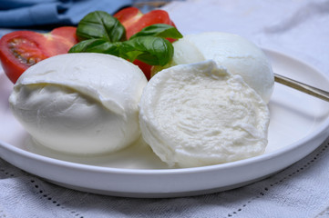 Cheese collection, organic mozzarella soft cheese served with ripe tomato and fresh green basil