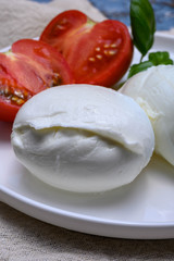 Cheese collection, organic mozzarella soft cheese served with ripe tomato and fresh green basil