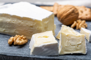 Cheese collection, piece of French brie cheese with white mold