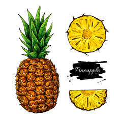 Pineapple vector drawing. Tropical summer fruit hand drawn illustration.