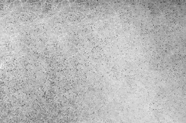 Obraz premium Background, texture of black and white fluffy mold close-up. Interesting abstract background, texture in black and white colors.