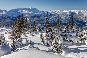 Whistler Mountain view in Winter from snowy Blackcomb Mountain