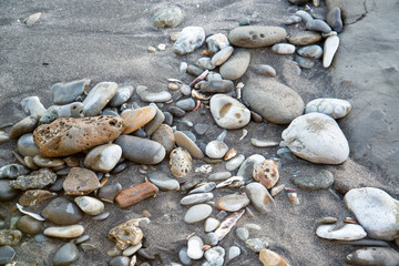 砂浜の小岩たち