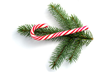 Christmas composition with fir tree branch and candy cane isolated on white background