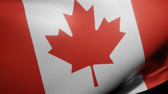 Close up of flag of Canada waving in wind. Realistic Animation Flag background 4K UHD 60FPS