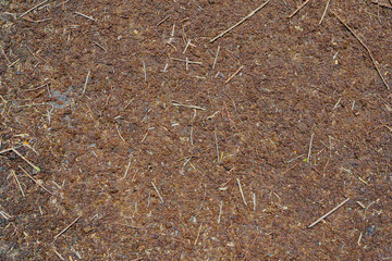moss texture 