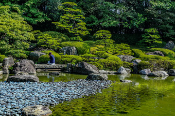 Fototapeta na wymiar japanese garden with pond and flowers