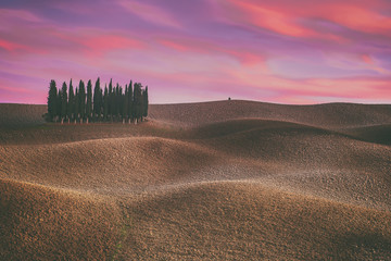 Obraz premium Tuscany landscape with cypress