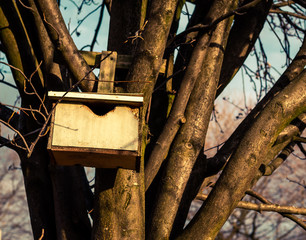 bird box on tree