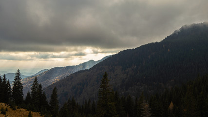 Fototapeta na wymiar Forest hills and clouds
