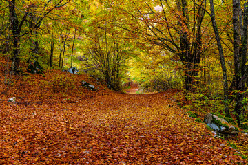 Parco Nazionale D'Abruzzo Lazio Molise