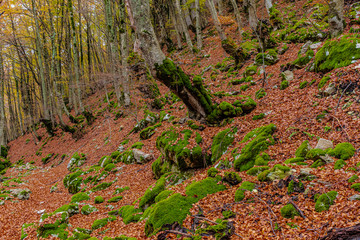 Parco Nazionale D'Abruzzo Lazio Molise