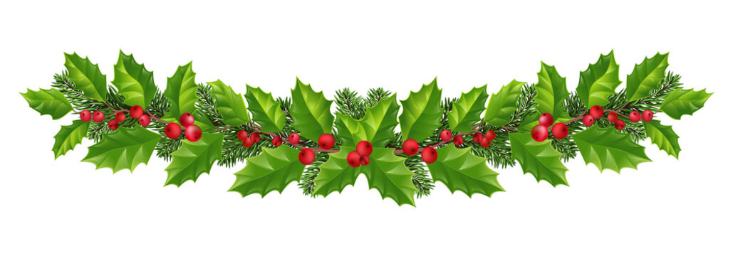 wide garland of Christmas tree branches and red berries. Isolated without shadow. Festive winter decor.