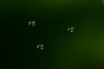 macro bubbles underwater