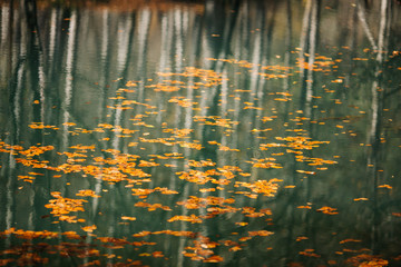 Autumn landscape in (seven lakes) Yedigoller National Park Bolu, Turkey