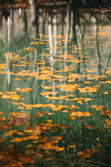 Autumn landscape in (seven lakes) Yedigoller National Park Bolu, Turkey
