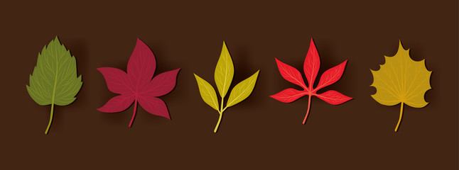 Set of autumn leaves vector design