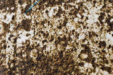 Textura del suelo del puerto