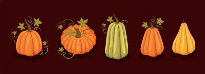 Set of autumn pumpkins with leaves vector design