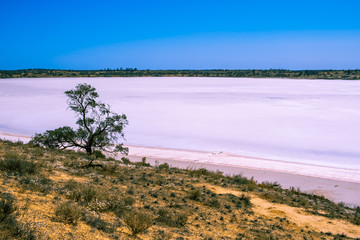 Pink lake Crosbie in Murray-Sunset National Park, Australia