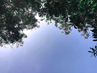 Sky and clouds background