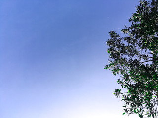 Obraz premium Sky and clouds background