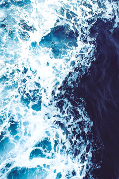 海