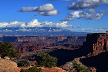 Canyonlands Landscape