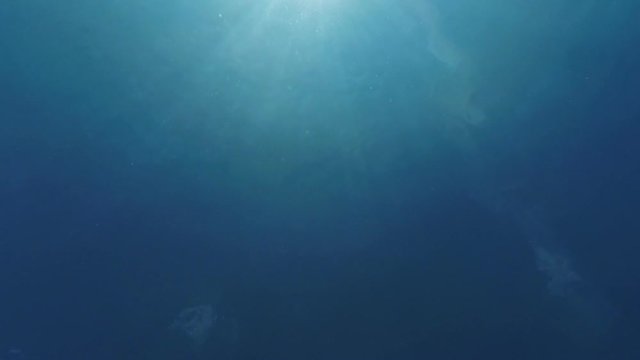 underwater background with blinking sun rays in blue water