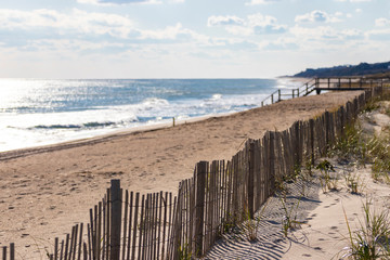 Protective fencing along sand dunes of public/private beach at the ocean - obrazy, fototapety, plakaty