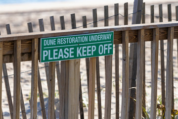 Green sign at beach reads: "DUNE RESTORATION UNDERWAY - PLEASE KEEP OFF"