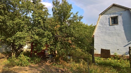 Obraz premium summer time holiday in Ukraine countryside