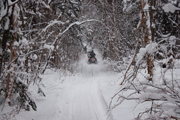 Snowmobiling in the snowy taiga of the Khabarovsk Territory.