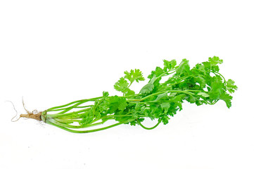 parsley