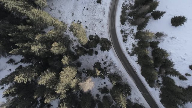 Veduta aerea di una strada innevata circondata dagli alberi