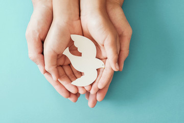 Adult and child hands holding white dove bird on blue background, international day of peace or...