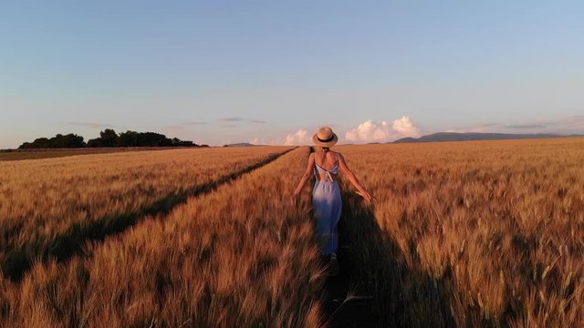 Rear view of young carefree woman in dress walking in slow motion through field touching with hand wheat ears,female tourist enjoying freedom and calmness on rural nature in summer. Vacations holidays