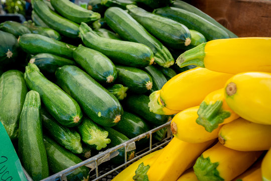 Zucchini And Yellow Squash For Sale At A Local Farmer's Market In Southern Oregon