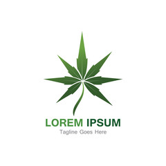 Cannabis leaf template vector illustration icon design