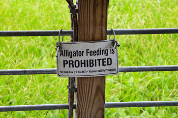 alligator feeding prohibited sign