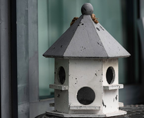 Bird house, good for concepts of care and safety.