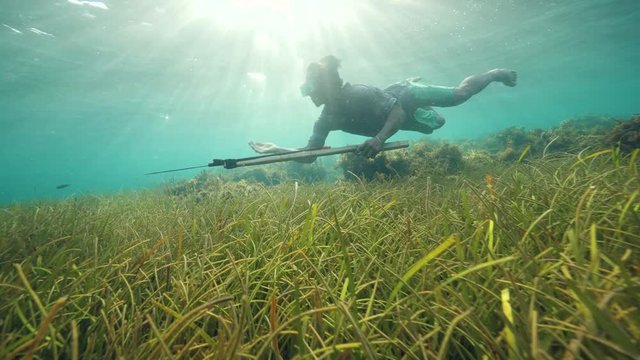 Beautiful underwater scene of a man spearfisher swimming near sea grasses.