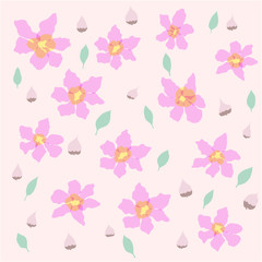 Pattern of Jacaranda flowers 